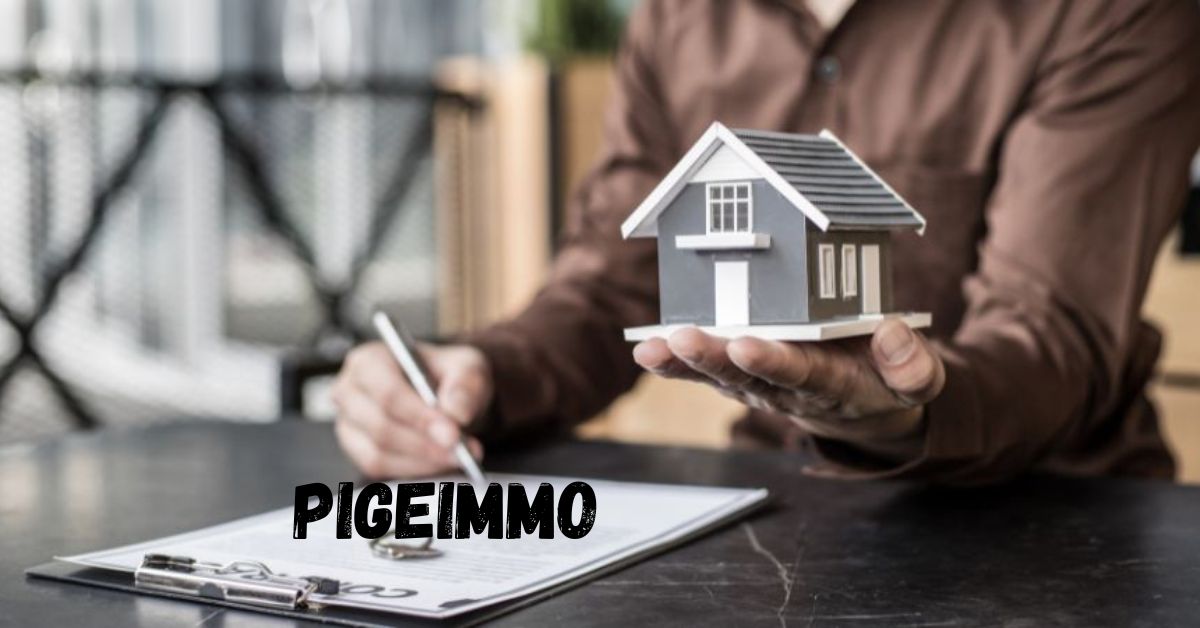 Pigeimmo: The Modern Concept Transforming Digital Real Estate Culture